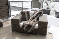 Chinchilla Bettl&amp;#228;ufer